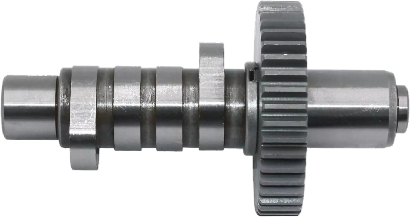 Twin-cylinder camshaft